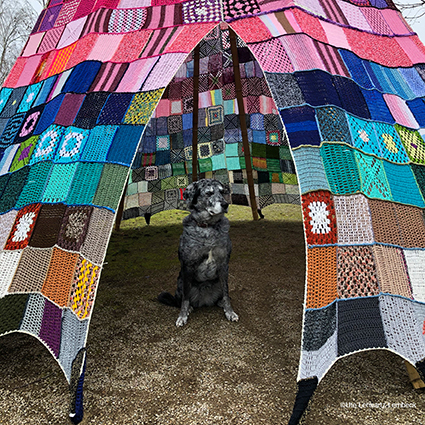 klein Wetzlar mit Hund